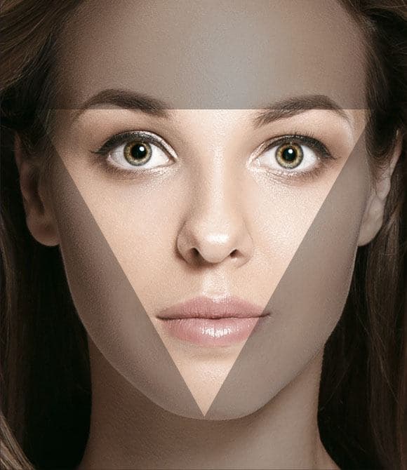 Anatomy of a young face