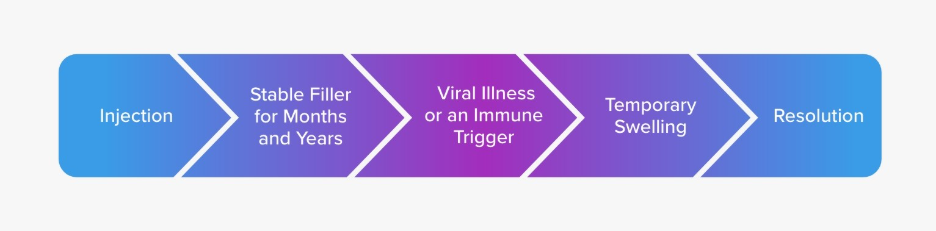 Timeline showing filler injection, months of stability, a viral or immune trigger, temporary swelling, and resolution.