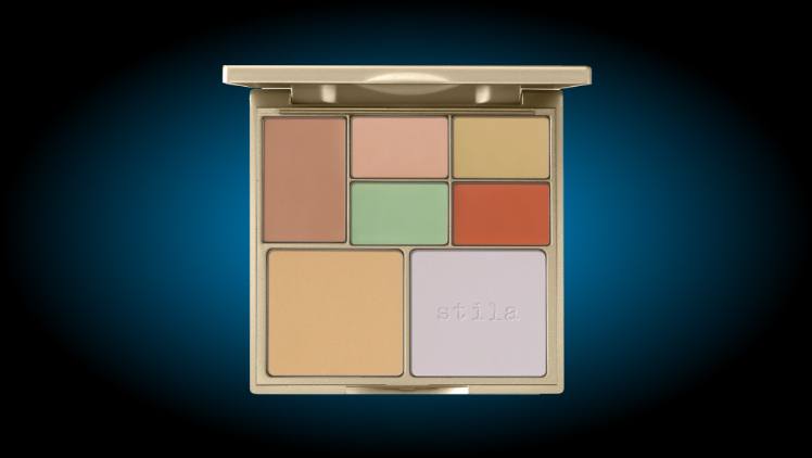 makeup palette for concealing bruising