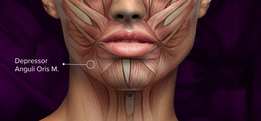 Graphic of depressor anguli oris muscle