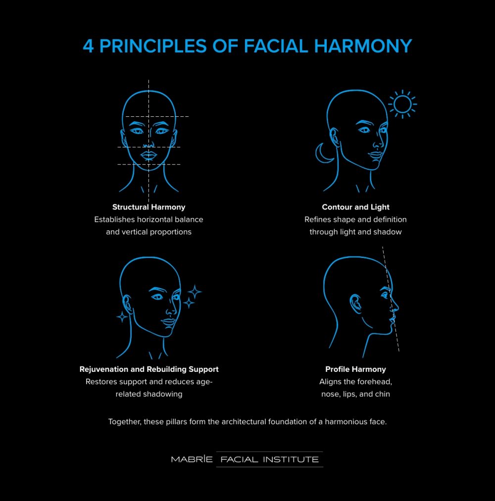 Infographic of the 4 principles of facial harmony